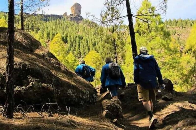 Tejeda: Roque Nublo Base Camp Xperience: Hike, Picnic & More - Final Thoughts: Is This the Right Adventure for You?