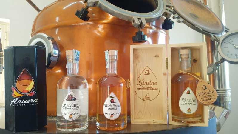 Tempio Pausania: Visit a Distillates Workshop with Tasting - Key Points / Takeaways