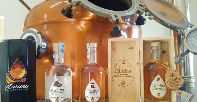 Tempio Pausania: Visit a Distillates Workshop with Tasting - Who Should Consider This Tour?