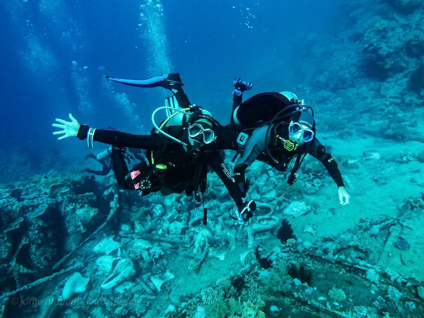 Tenerife: 2-Dive Private Scuba Discovery Course - Things To Know