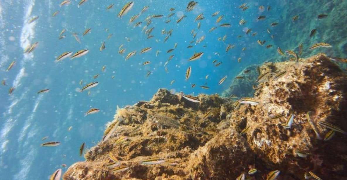 Tenerife: 3 Day/6 Dives Open Water Diver Course - Diving Certification Process