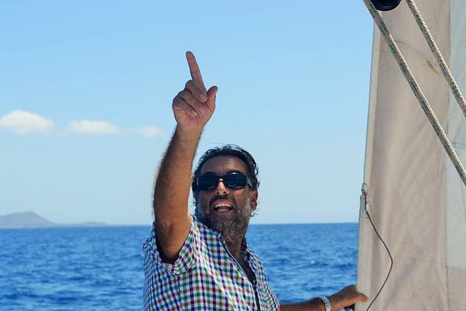 Tenerife 3-Hour Discover Whales and Dolphins - Vegetarian Option Available