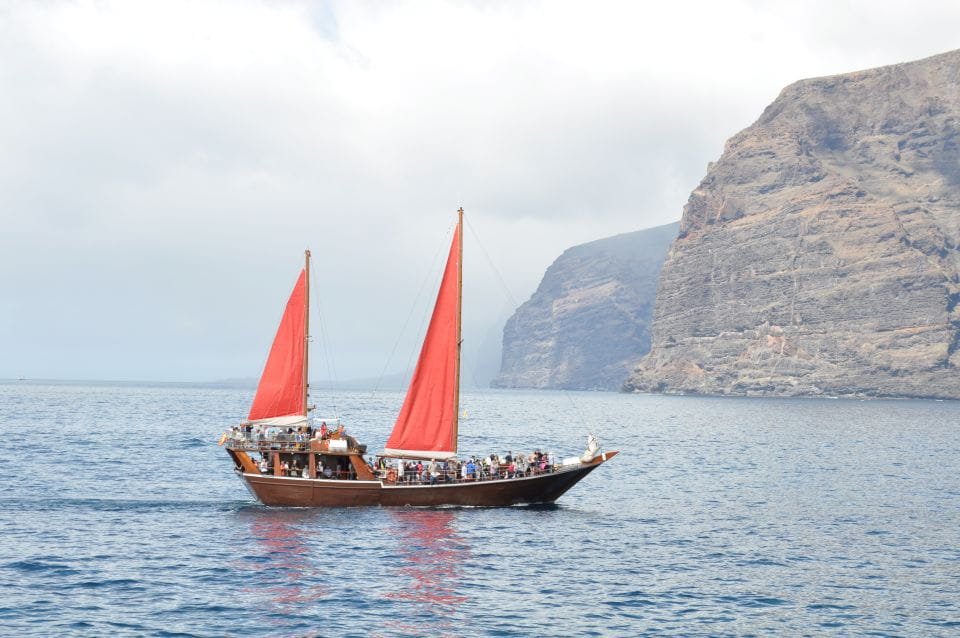 Tenerife: 5-Hour Whales and Dolphins Tour - Inclusions and Amenities