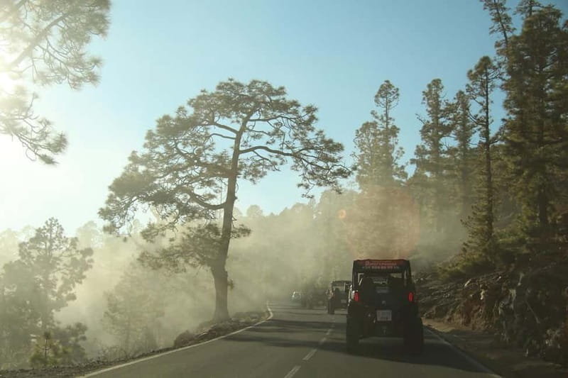 Tenerife: Afternoon 2seats Teide Buggy Tour - Key Points / Takeaways