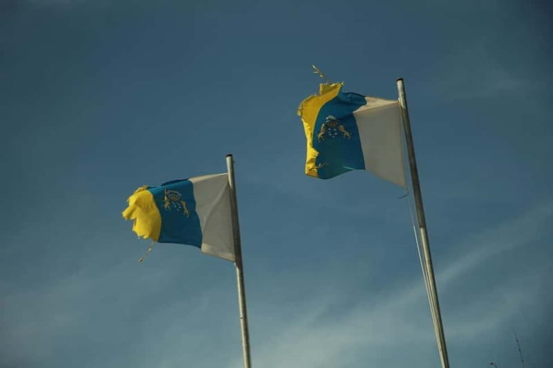 Tenerife: Afternoon 2seats Teide Buggy Tour - Who Is This Tour Best For?