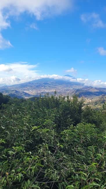 Tenerife Anaga Mountains: Circular hike in the laurel forest - Key Points / Takeaways