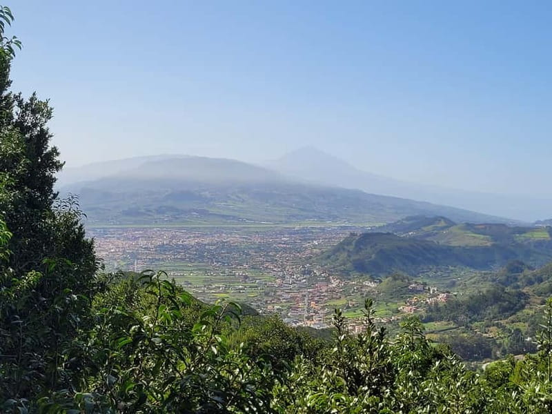 Tenerife Anaga Mountains: Circular hike in the laurel forest - FAQ
