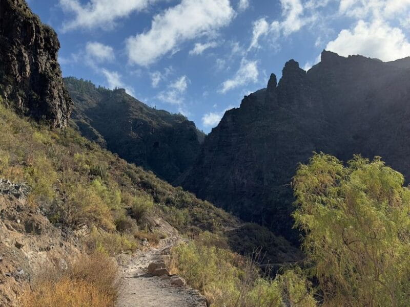 Tenerife: Barranco del Infierno Guided Hiking Tour - Key points / Takeaways