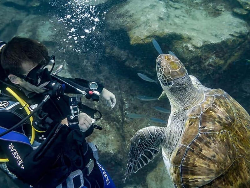 Tenerife: Beginner Scuba Diving Experience with Pickup - Frequently Asked Questions
