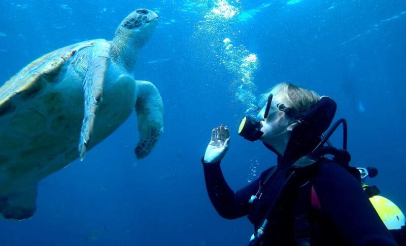 Tenerife: Beginners Scuba Dive Experience in Turtle Area - Who Should Avoid This Tour
