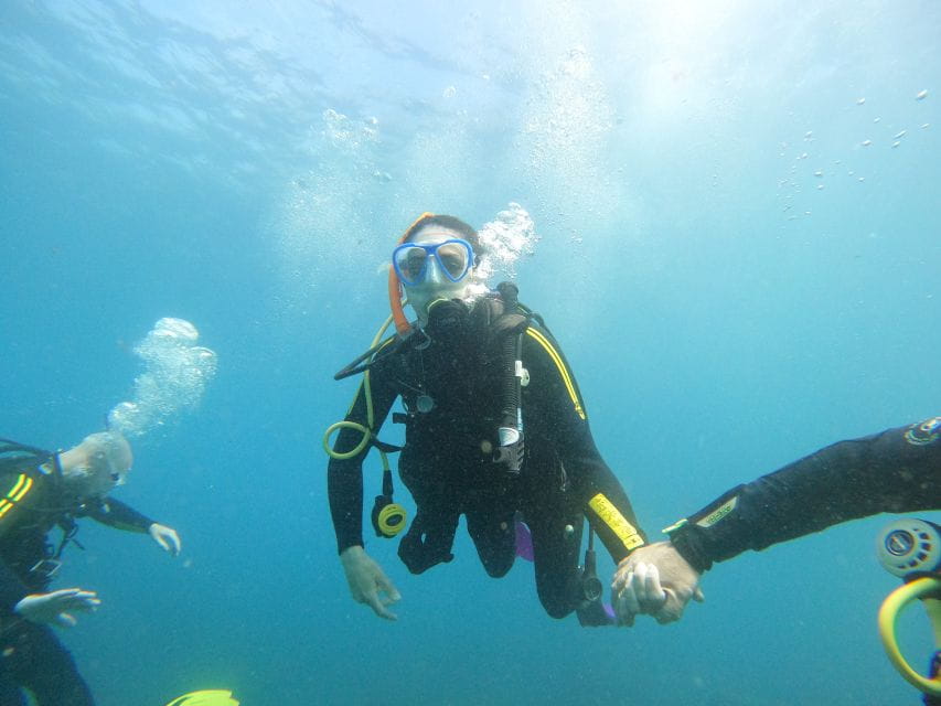 Tenerife: Beginners Scuba Dive in Puerto Colon Turtle Area - Booking and Cancellation Policy