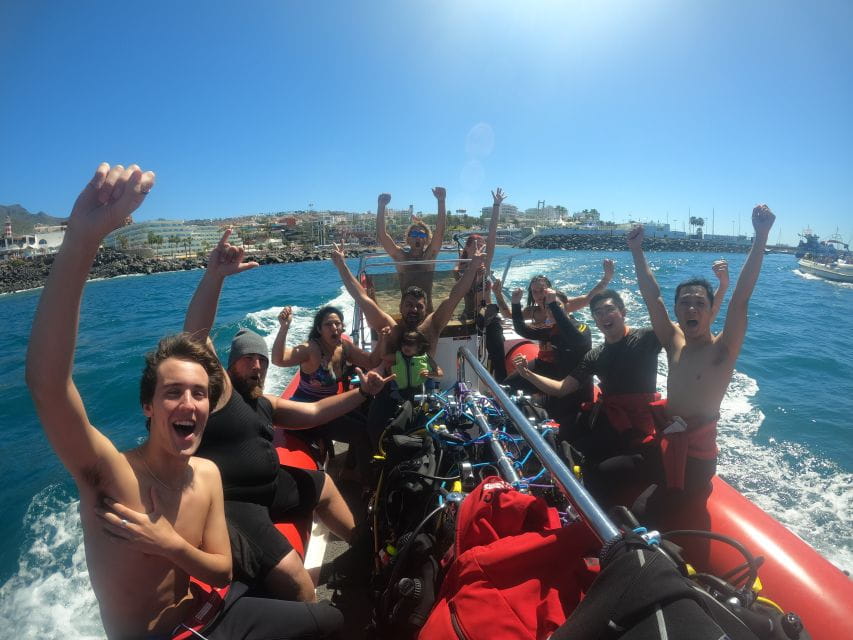 Tenerife: Beginners Scuba Dive in Puerto Colon Turtle Area - Things To Know