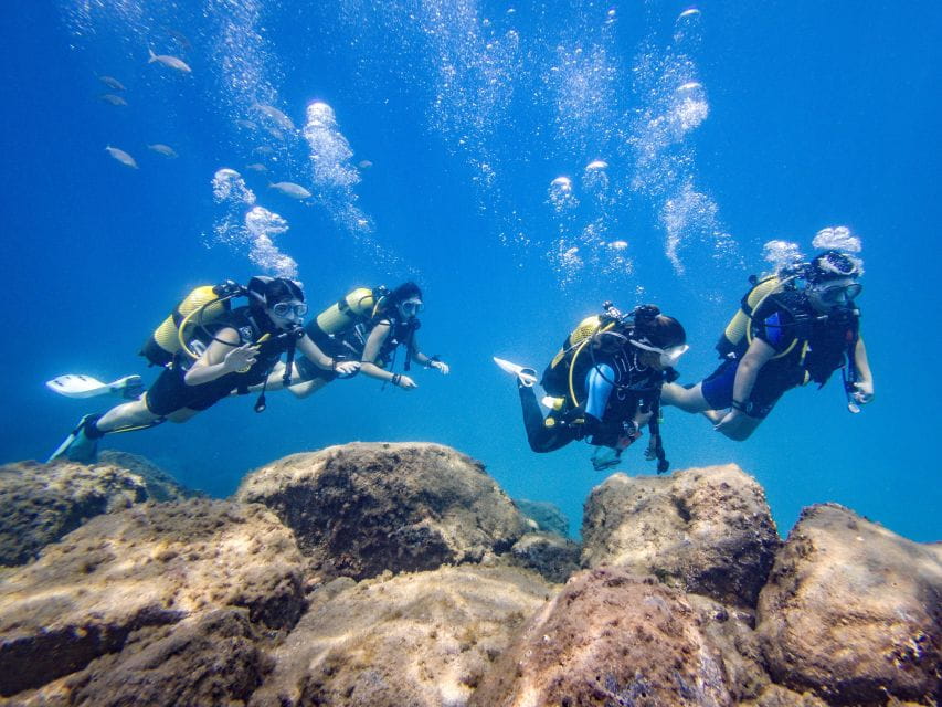 Tenerife: Beginners Scuba Diving Experience - Key Points