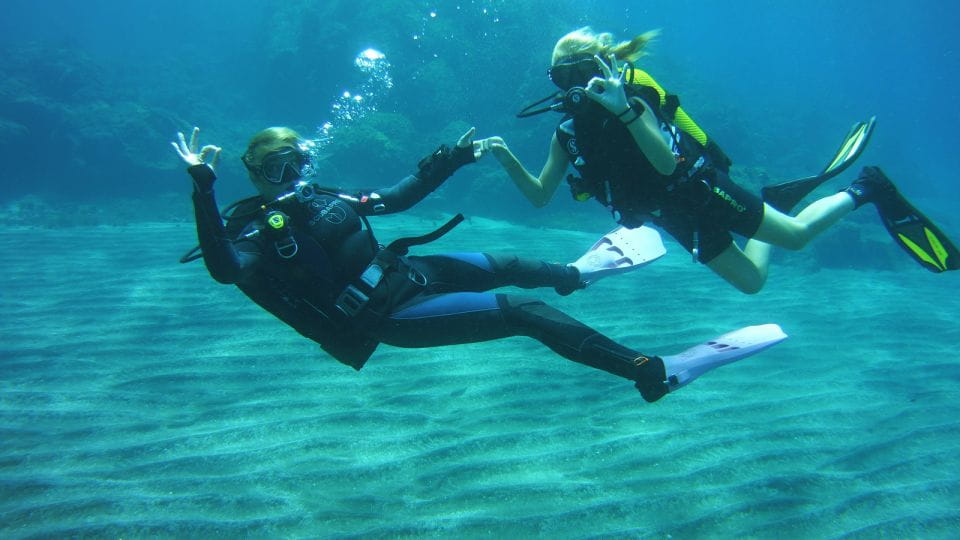 Tenerife: Beginners Scuba Diving Experience - Scuba Diving Experience
