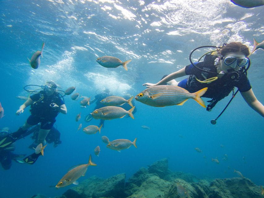 Tenerife: Beginners Scuba Diving Experience - Cancellation Policy