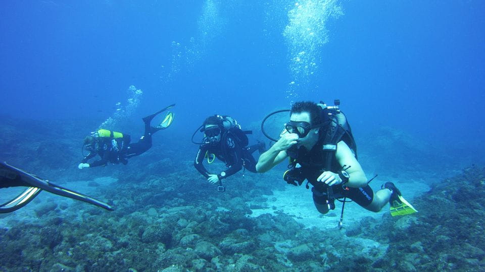 Tenerife: Beginners Scuba Diving Experience - Pickup Service Options