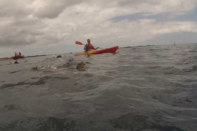 Tenerife by Kayak and Snorkeling Adventure in Small Group - Kayaking Towards Tenerifes Cliffs