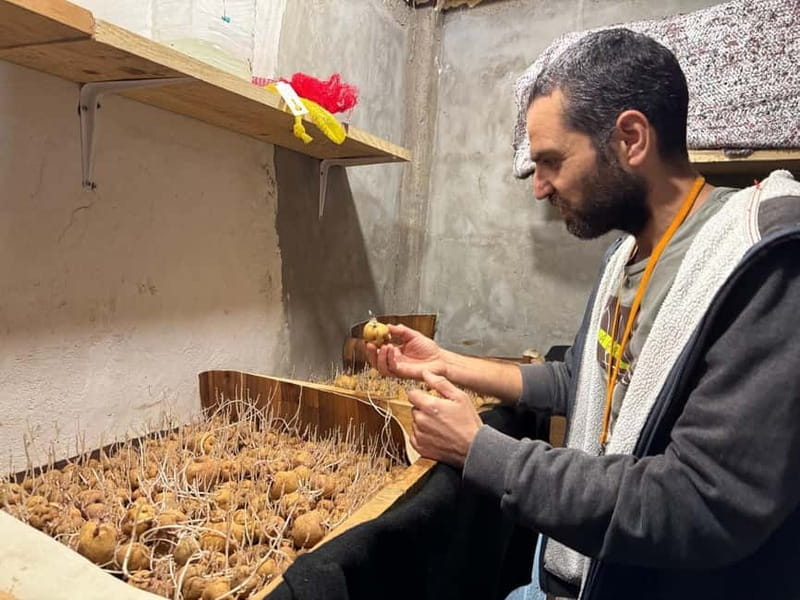 Tenerife: Canary History and Color Potatoes - Key points / Takeaways