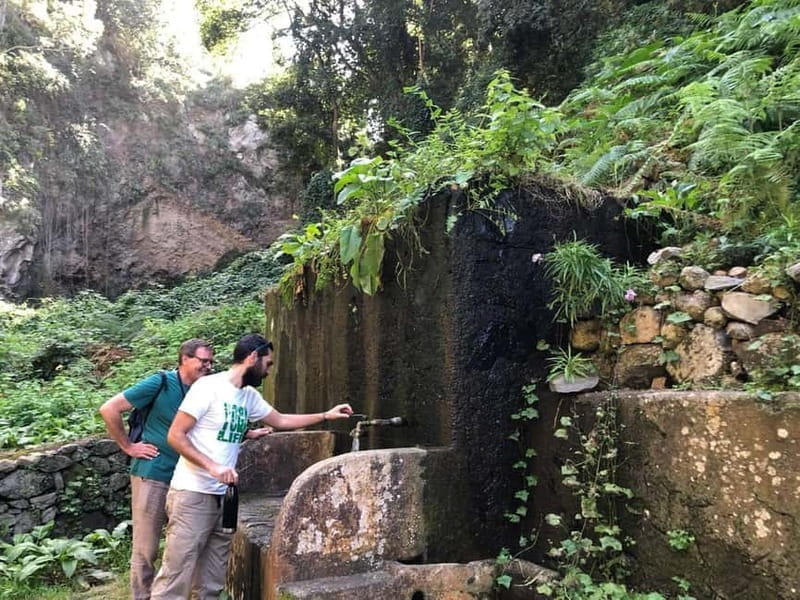 Tenerife: Canary History and Color Potatoes - Final Thoughts