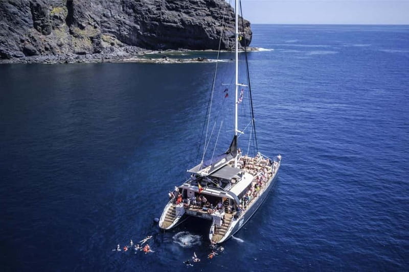 Tenerife: Catamaran Cruise with an Open Bar - Price and logistics: What to consider