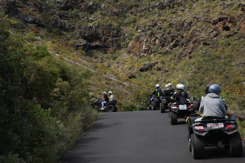 Tenerife: Coastal Sights to Woodland Heights Quad Tour - Who This Tour Is Perfect For