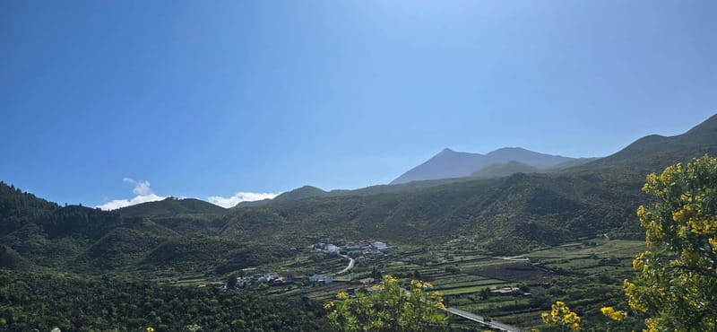 Tenerife: Coastal Sights to Woodland Heights Quad Tour - Practical Tips for Participants