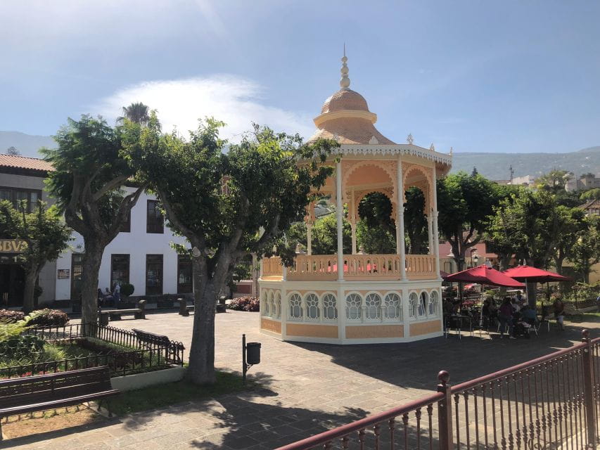 Tenerife: Complete Island Tour With Masca - Itinerary Highlights