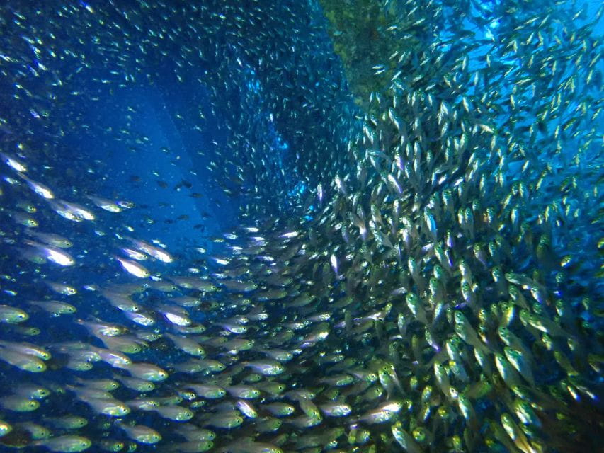 Tenerife: Costa Adeje Private Diving Lesson Experience - Preparation Requirements