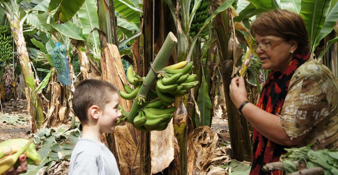 Tenerife: Finca Las Margaritas Banana Plantation Experience - Booking Your Tour