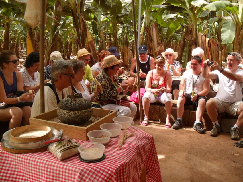 Tenerife: Finca Las Margaritas Banana Plantation Experience - Things To Know