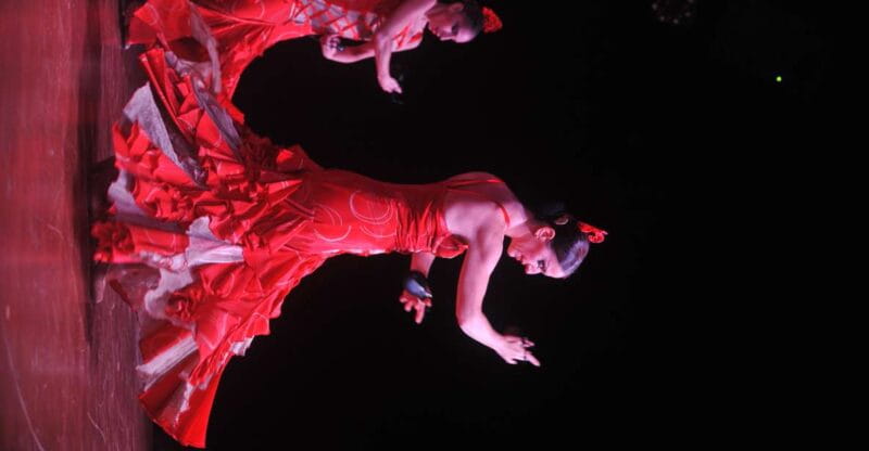 Tenerife: Flamenco Performance at Teatro Coliseo - Key points / Takeaways