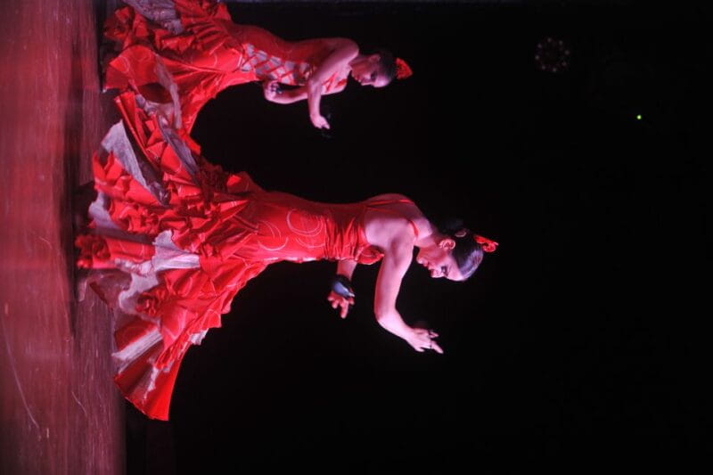 Tenerife: Flamenco Performance at Teatro Coliseo - The Sum Up