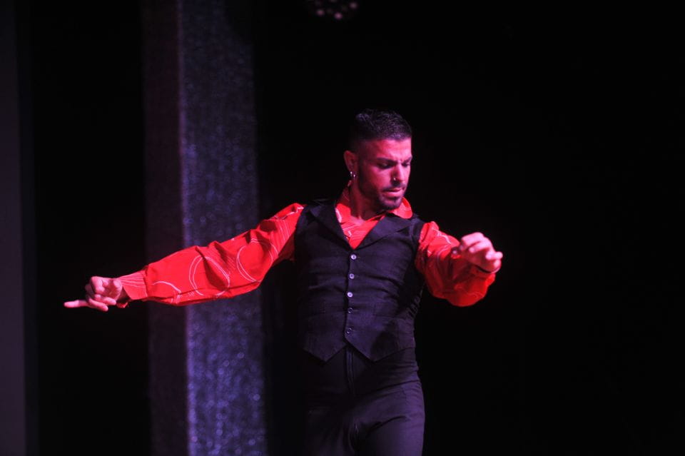 Tenerife: Flamenco Performance at Teatro Coliseo - Show Structure