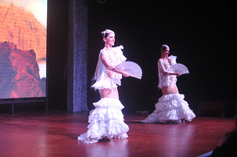 Tenerife: Flamenco Performance at Teatro Coliseo - Atmosphere and Experience