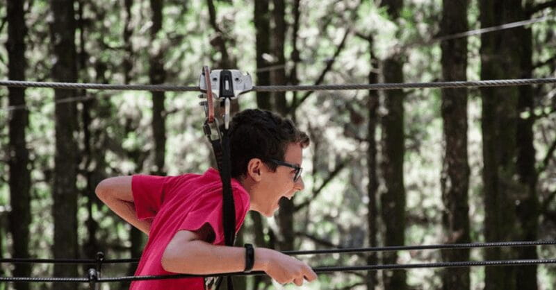 Tenerife: Forestal Park Tenerife Entry Ticket - Cost-Value Analysis: Is It Worth It?