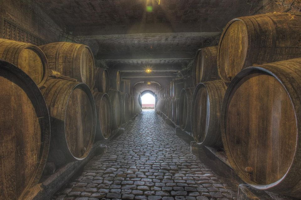 Tenerife: Full-Day Gastronomy and Wine Tour - Things To Know