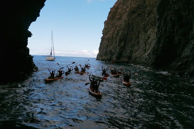 Tenerife: Guided kayak tour with snorkeling in a marine reserve - The Sum Up: Who Should Sign Up?