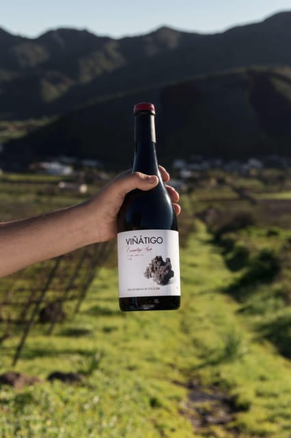 Tenerife: Guided tour with tasting of 6 wines - Practical Details & Tips
