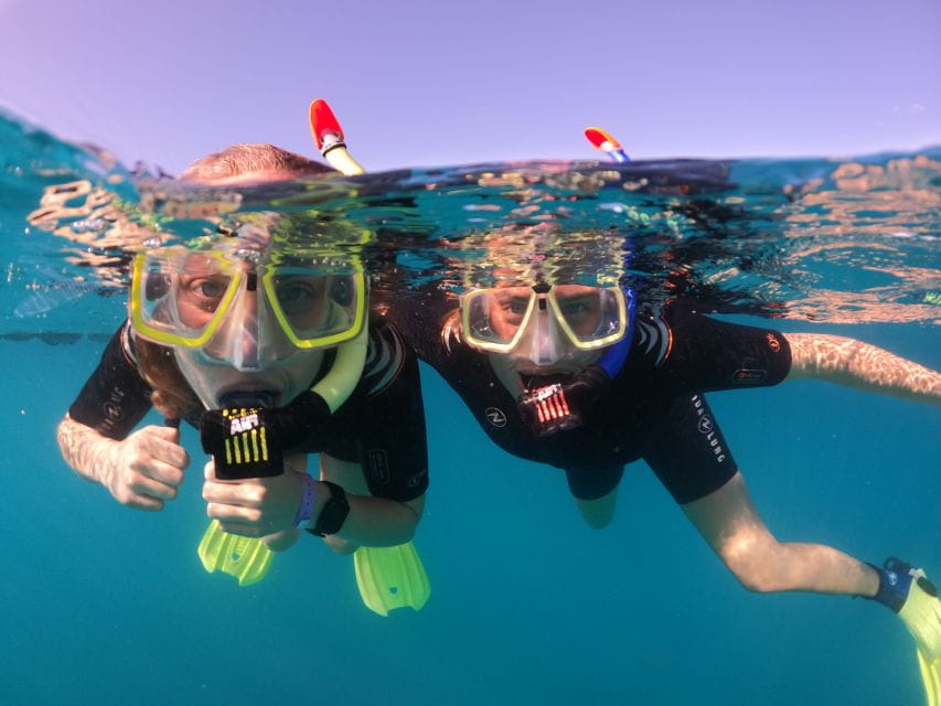 Tenerife: Half-Day Snorkeling Tour - Activity Highlights