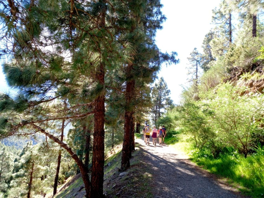 Tenerife: Hiking Above the Village of Masca - Pricing and Reservations