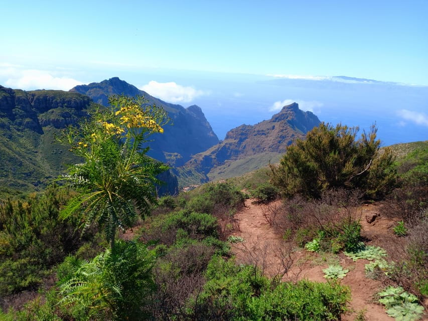 Tenerife: Hiking Above the Village of Masca - Customer Reviews