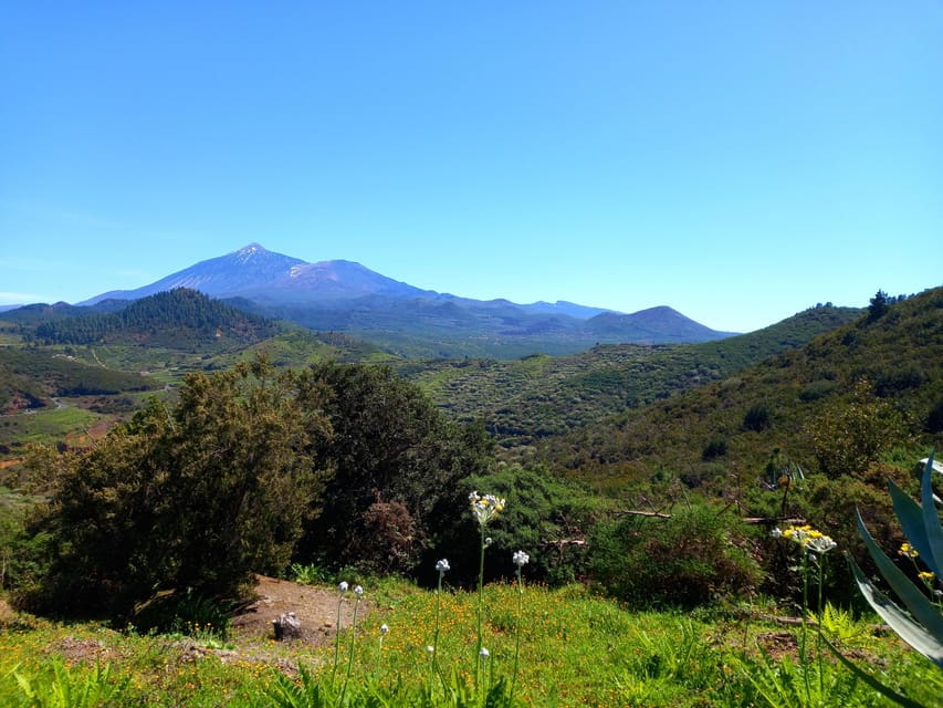 Tenerife: Hiking Above the Village of Masca - Things To Know