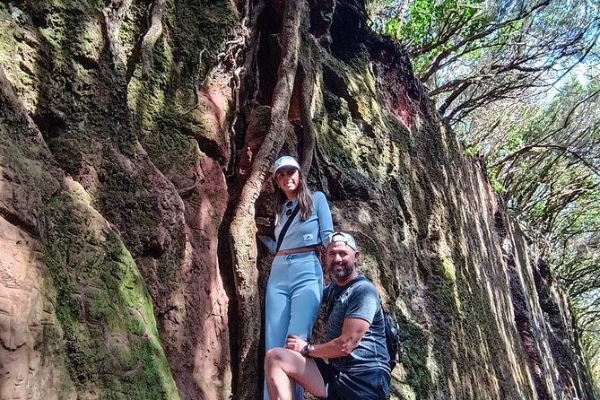 Tenerife: Hiking in Anaga Mountains and Enchanted Laurel Forest - Key Points