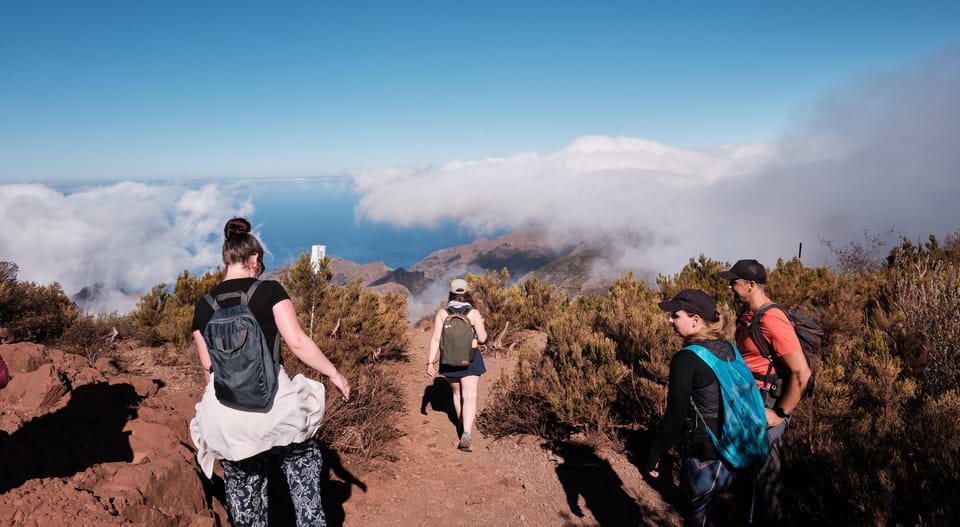 Tenerife: Hiking Tour Above Masca and Enchanted Forest - Key Points