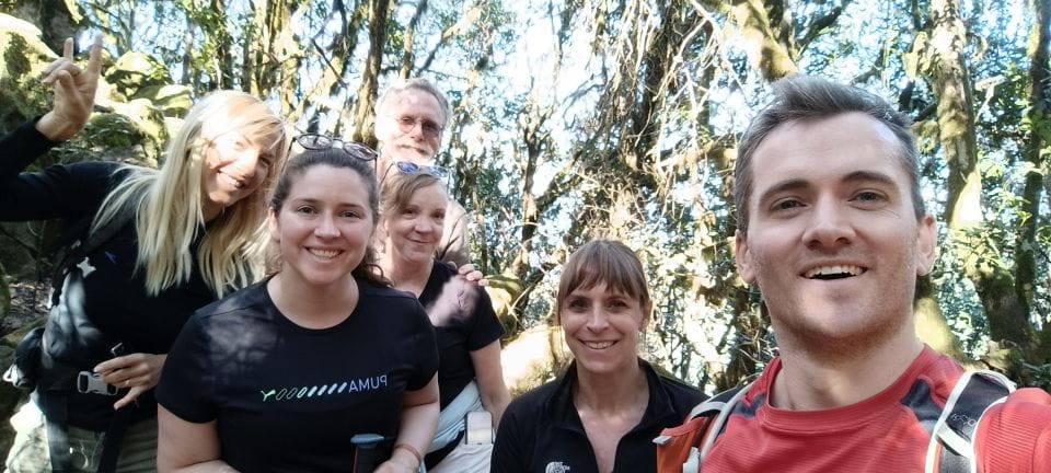 Tenerife: Hiking Tour Above Masca and Enchanted Forest - Customer Reviews and Experience