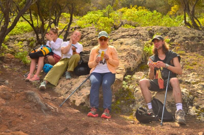 Tenerife: Hiking Tour in Anaga Mountains & Enchanted Forest - Entering Tenerife’s Hidden World: Anaga National Park