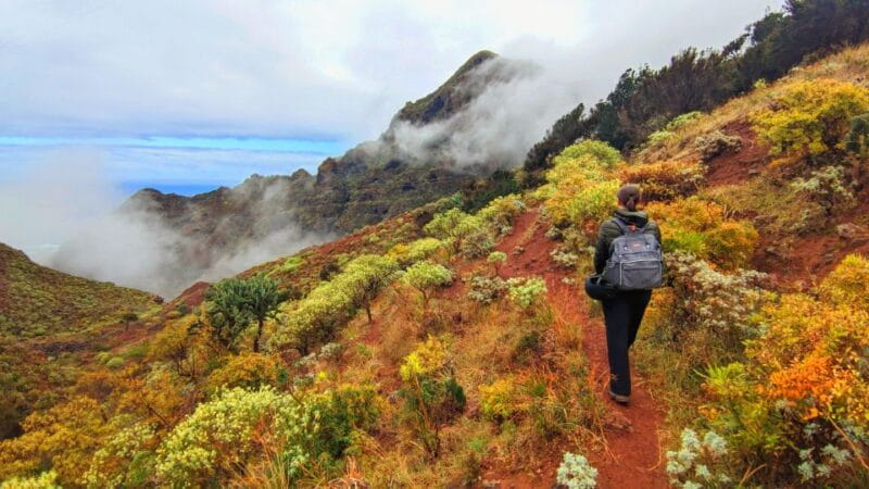 Tenerife: Hiking Tour in Anaga Mountains & Enchanted Forest - Soaking Up Tenerife’s Wild Side: Mountain Peaks and Cliff Views