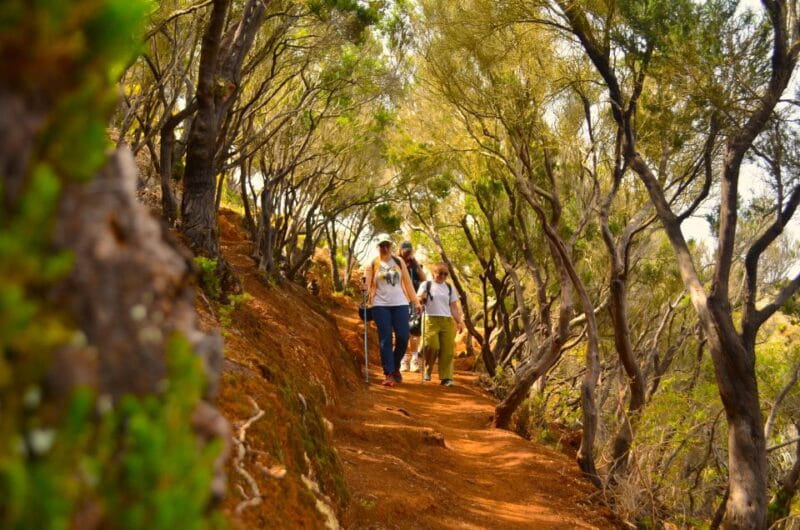 Tenerife: Hiking Tour in Anaga Mountains & Enchanted Forest - FAQ