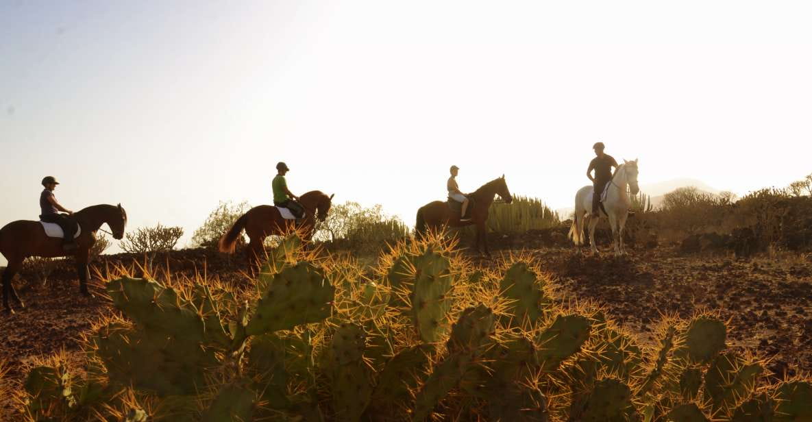 Tenerife: Horseback Ride With Instructor - Booking and Cancellation