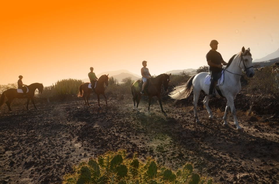 Tenerife: Horseback Ride With Instructor - Rider Requirements
